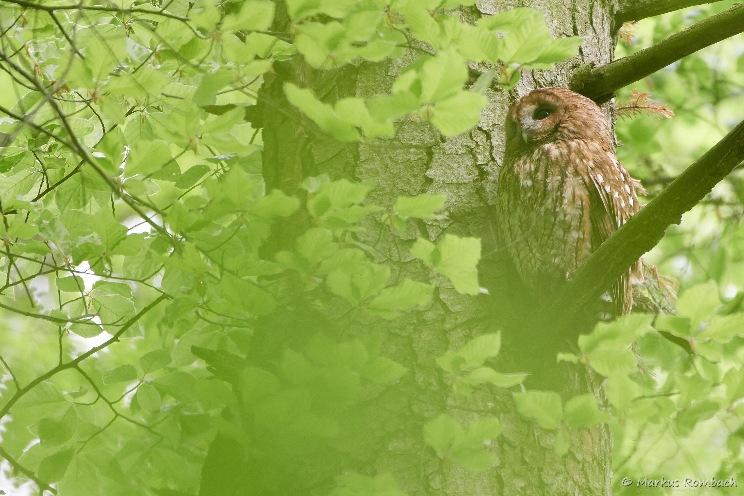 Mit Blick auf die Höhle