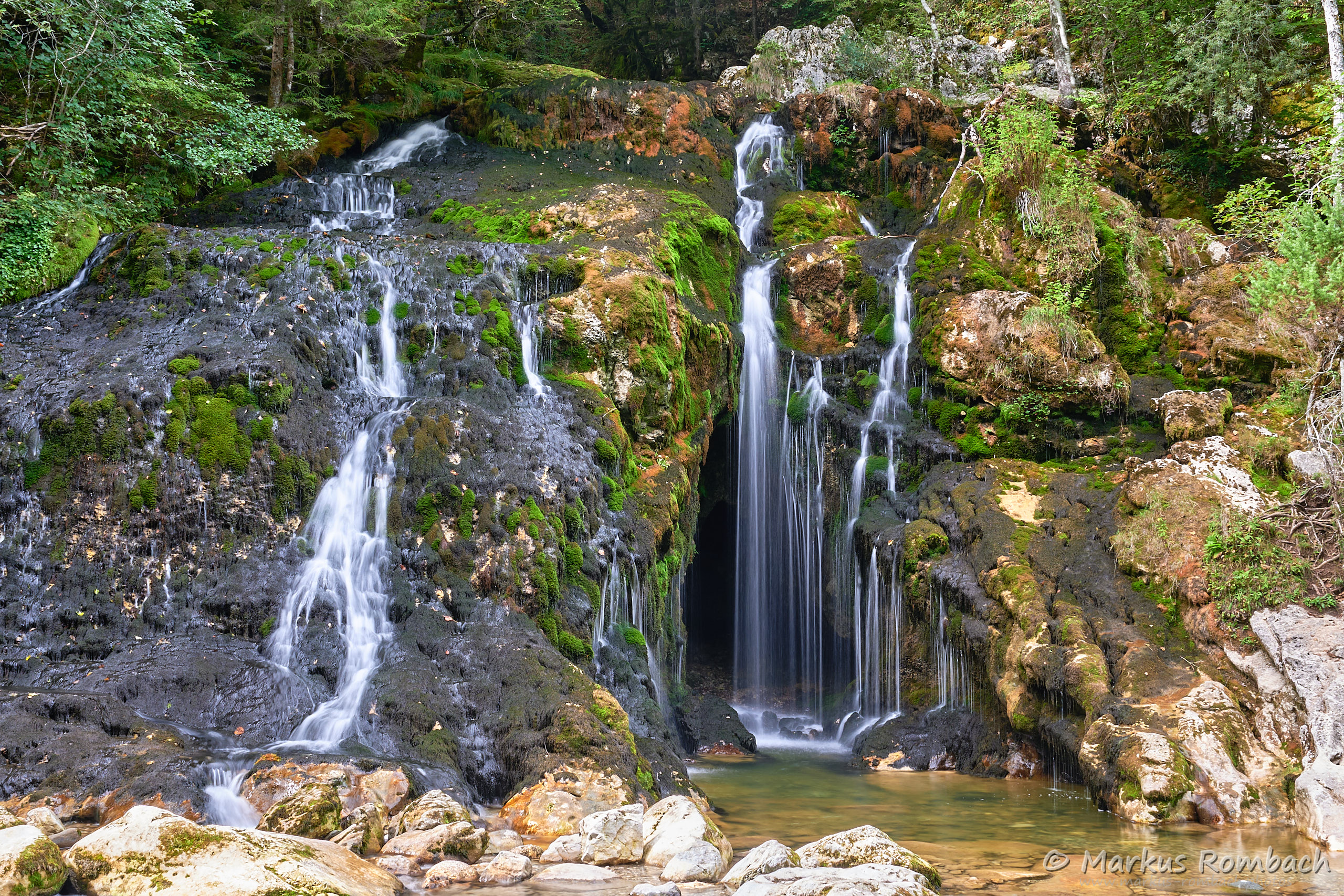 sauvages de la Savoie